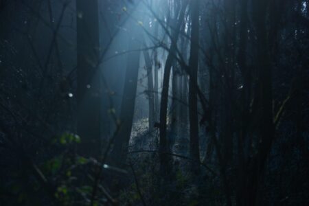 backlit-creepy-dark-289367