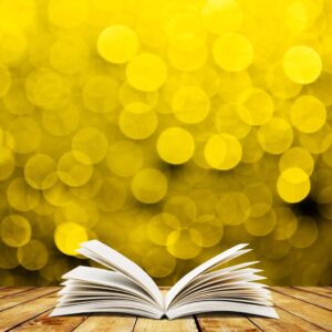 bokeh-book-paper-247644